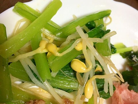豆もやしと小松菜のナムル